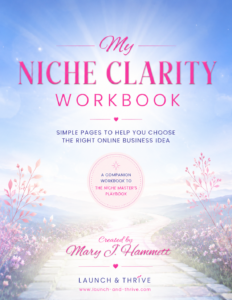 cover my niche clarity workbook