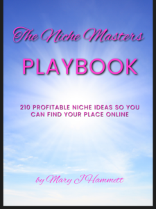 cover of the niche masters playbook by mary hammett (600 x 800 px)