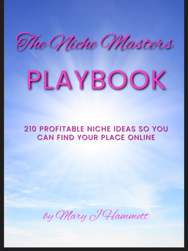 cover of the niche masters playbook by mary hammett (600 x 800 px)